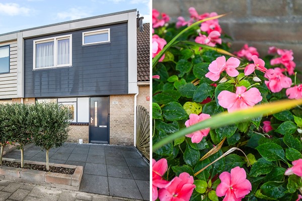 Corverbos 151    2.jpg